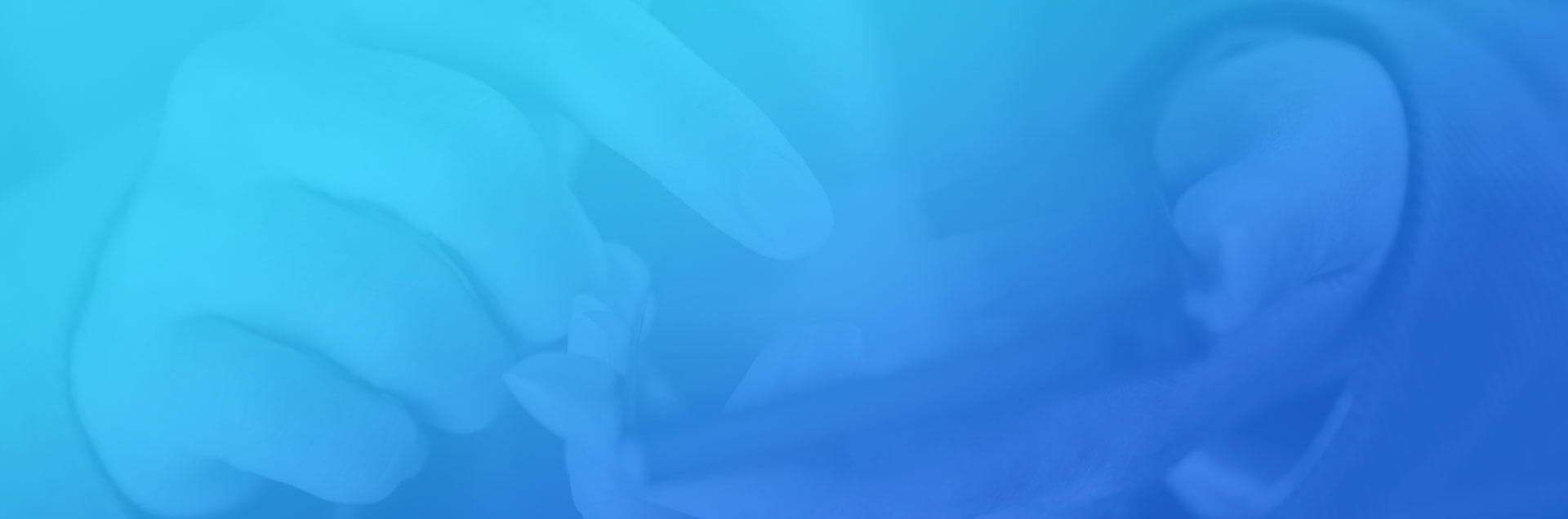 一網天行-網站建設|微信開發(fā)|小程序開發(fā)