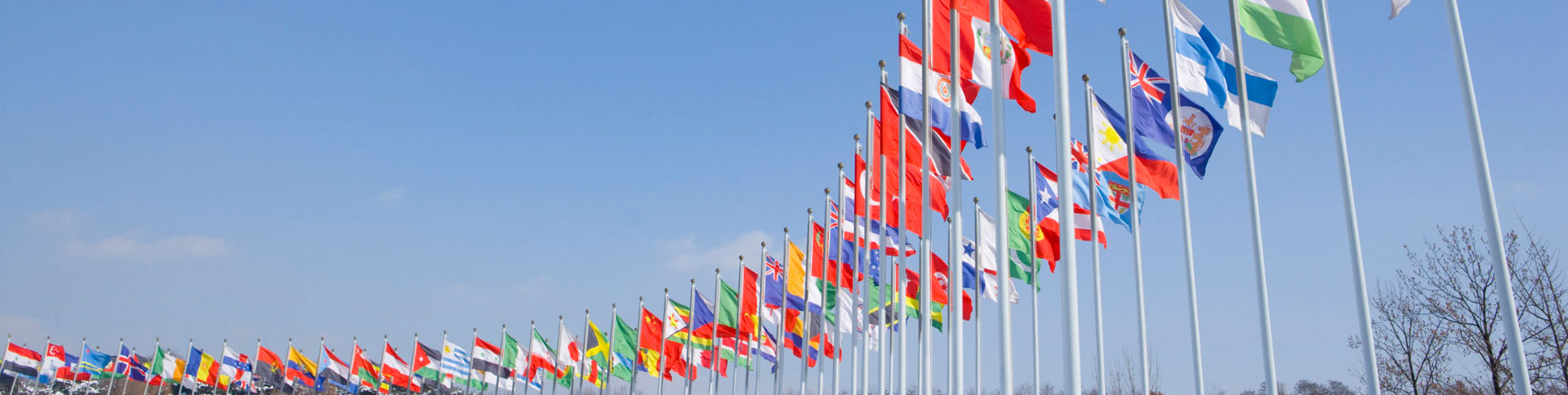 國際資料企業(yè)宣傳網站|一網天行-網站建設小程序APP系統(tǒng)軟件開發(fā)公司