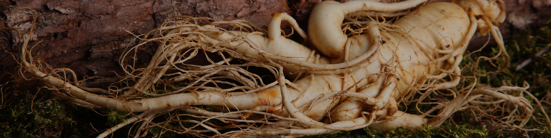 正德藥業(yè)-品牌營(yíng)銷(xiāo)網(wǎng)站|一網(wǎng)天行-網(wǎng)站建設(shè)小程序APP系統(tǒng)軟件開(kāi)發(fā)公司